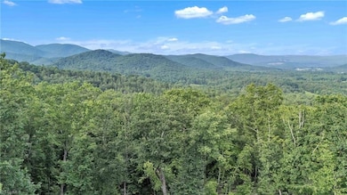 0 Bell Mountain Rd unit 1188541, Walnut Grove, NC 28635 - photo 6