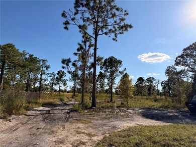 3740 39th Ave NE, Naples, FL 34120 - photo 2