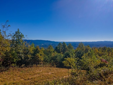Lot 80 Spring Pond Trail, Fancy Gap, VA 24328 - photo 4
