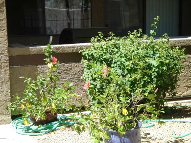 Flowers outside