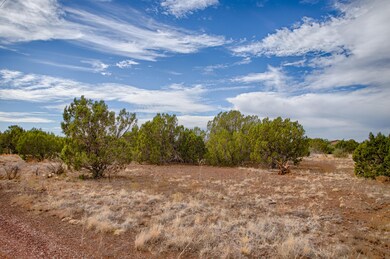 1280 Geronimo Dr, Show Low, AZ 85901 - photo 3