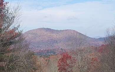 Additional View