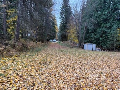 View of yard with a storage shed