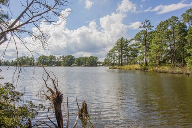 77 Wheat Patch Rd, Bath, NC 27810 - photo 7