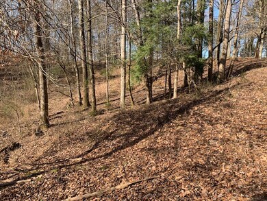 000 Big Bottom Rd, Sparta, TN 38583 - photo 4