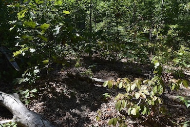 0 Sam Baughman Rd unit LotWP001 24575594, Stanford, KY 40484 - photo 4