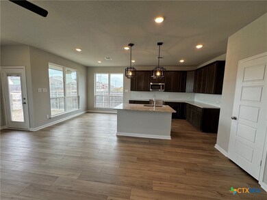 1880 Longmire Loop, Temple, TX 76502 - photo 5