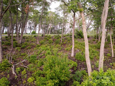 000 E Garden Trail unit 47, Fletcher, NC 28732 - photo 6