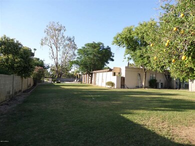 Grassy backyard to throw a football in!