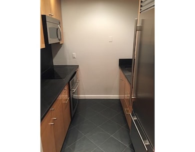 20 E Springfield St unit 2, Boston, MA 02118 - photo 3