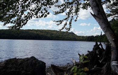 133 Paradise Ln, Tomhegan Township, ME 04478 - photo 4