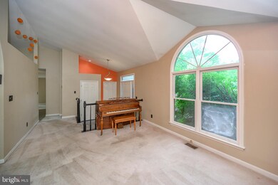 11013 Cedar Post Ln, Spotsylvania, VA 22553 - photo 5