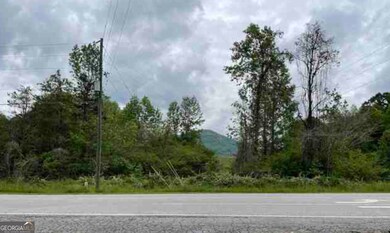 0 Asbestos Rd unit 10644874, Cleveland, GA 30528 - photo 6