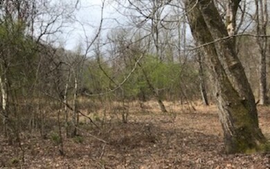Additional View