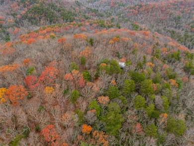 198 Hollow Log Dr, Ellijay, GA 30536 - photo 2