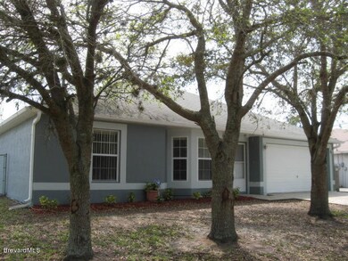 mature trees