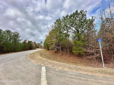 6 County Road 3122, McCool, MS 39108 - photo 6