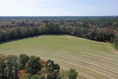 251 McDonald Rd, Thomasville, GA 31757 - photo 5