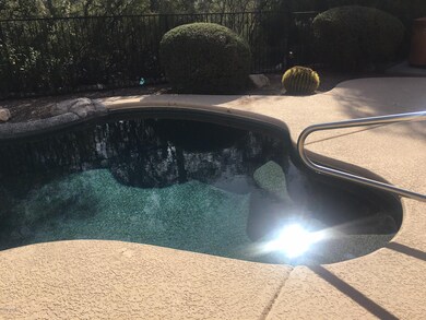 Sparkling Pool