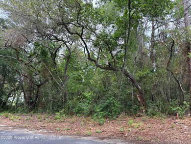 Lot W290 Navajo Trail, Spring Hill, FL 34606 - photo 6