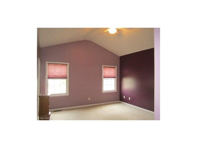 Vaulted Master Bedroom