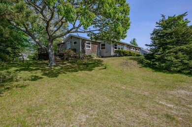 Front left yard