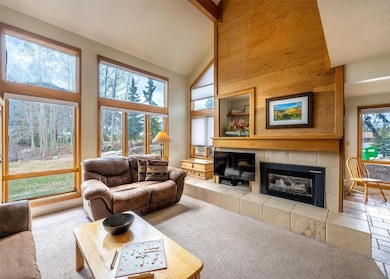 Living area featuring high vaulted ceiling, carpet