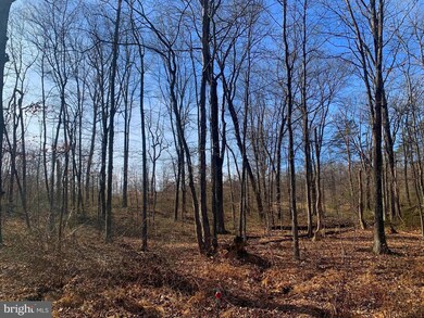 Lot 18 Sleepywoods Rd, Cross Junction, VA 22625 - photo 7