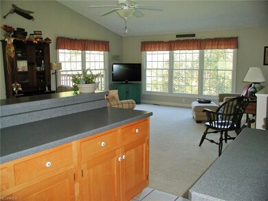 Great room.  Great wooded views