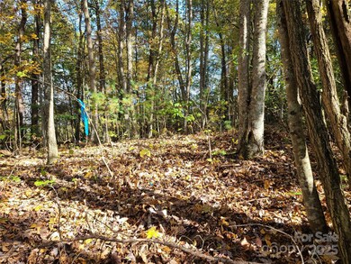 Tracts 2A & 2B Rabbit Skin Rd, Waynesville, NC 28785 - photo 4