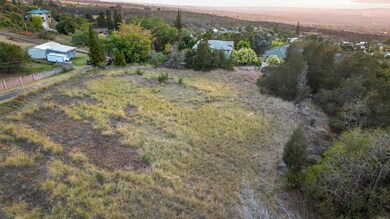 90 Alanuilili Place, Kula, HI 96790 - photo 5