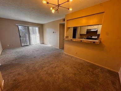 941 Calle Mejia unit 108, Santa Fe, NM 87501 - photo 2