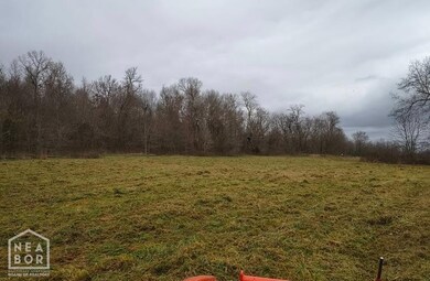 0 Rainbow Valley Trail unit 10124467, Mammoth Spring, AR 72554 - photo 2