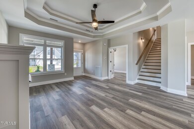 165 Slonaker Cir, Jonesborough, TN 37659 - photo 4