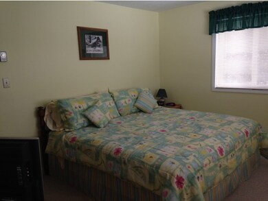 14 Hayes Drive #29 unit 29, Woodstock, NH 03262 - photo 6