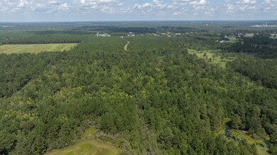 0 Tbd Little Happy Ln unit Ln 57-112, Deridder, LA 70634 - photo 3