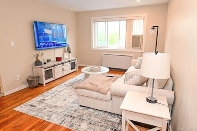 Wyndham House unit 212, Lynbrook, NY 11563 - photo 3