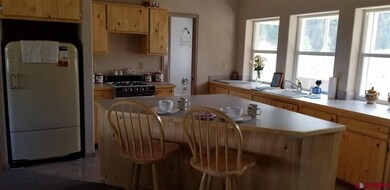 0 Armitage Springs Rd unit 762907, Powderhorn, CO 81243 - photo 3