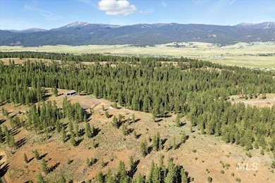 View of mountain background with a heavily wooded area