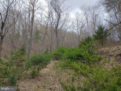 0 Horn Camp Rd unit WVHS115546, Rio, WV 26755 - photo 4