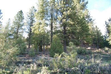 850 N Harris Spring Rd, Duck Creek Village, UT 84762 - photo 4