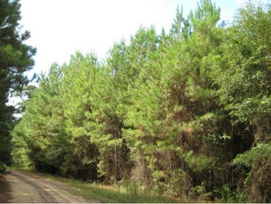 10.2 ac. Hidden Leaf Trail, Nacogdoches, TX 75964 - photo 2