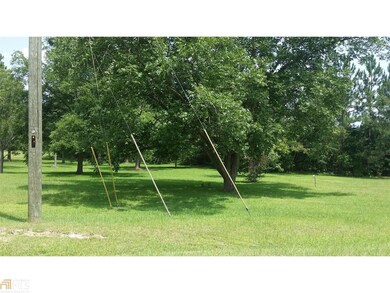 0 Jackson Ave unit 10548102, Helena, GA 31037 - photo 2