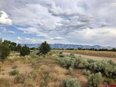 10350 Road 21 9, Cortez, CO 81321 - photo 6