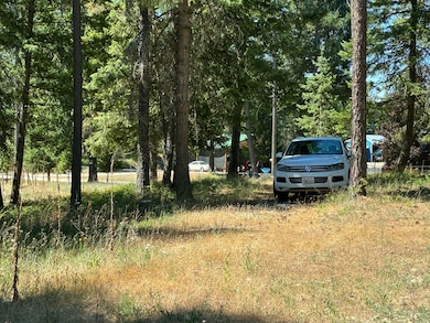 3741 N Deer Lake Rd, Loon Lake, WA 99148 - photo 7