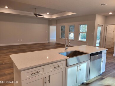 Living Room and Kitchen