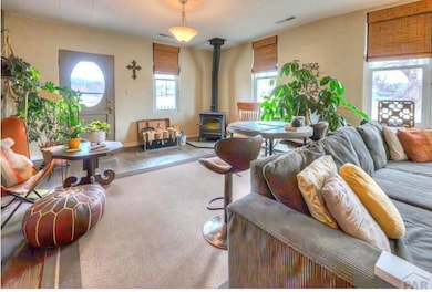 203 E Field St, La Veta, CO 81055 - photo 7