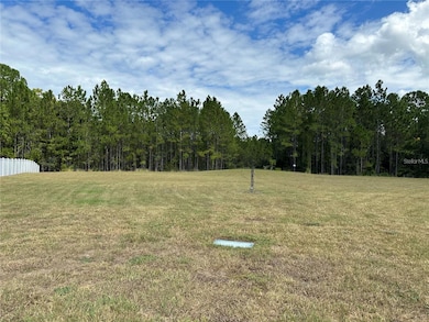 00 Shooting Star Ct, Riverchase, FL 34655 - photo 3