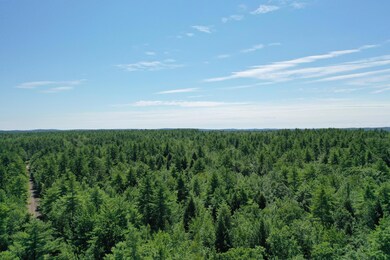 DJI_0970