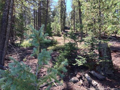 Land/Lot.